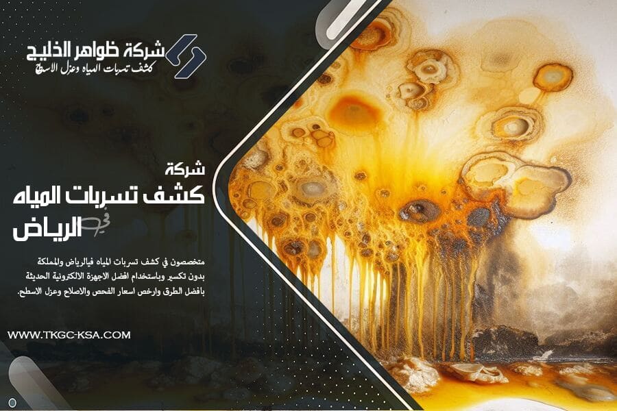تعاني من تسربات مياه في منزلك؟ تعرف على أكثر 7 أماكن شائعة لحدوث تسربات المياه في المنازل مثل الحمام والمطبخ والخزانات، وتعلّم خطوات الكشف والإصلاح بطريقة احترافية.