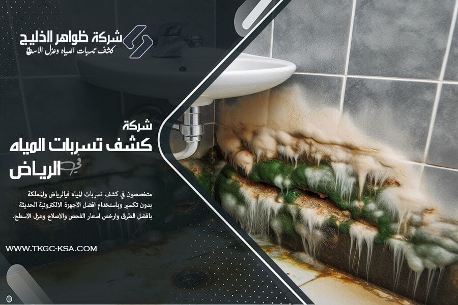 كيفية اصلاح تسربات المياه في الاماكن الشائعة لحدوث التسربات باحترافية. تعرّف على أسباب التسرب وأهم النصائح للحد من الخسائر المائية وتوفير فواتير الصيانة.