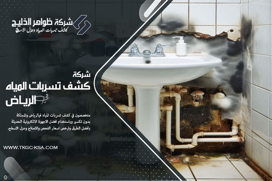 شركة كشف تسريبات المياه بحي قرطبة بالرياض رائدة في كشف تسربات المياه. نكشف التسربات بدون تكسير وباسعار معقولة. نصل إليك فوراً لحماية منزلك من أضرار المياه.